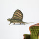 3D Rendering Dimetrodon Dinosaur Wall Decal Design 1