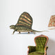 3D Rendering Dimetrodon Dinosaur Wall Decal Design 1