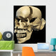 Perspective Human Skull Black Wall Decal