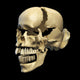 Perspective Human Skull Black Wall Decal