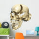 Perspective Human Skull White Wall Decal