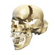 Perspective Human Skull White Wall Decal