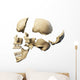 Side Human Skull White Wall Decal