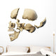 Side Human Skull White Wall Decal