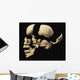 Side Human Skull Black Wall Decal