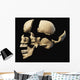 Side Human Skull Black Wall Decal