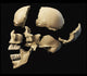 Side Human Skull Black Wall Decal