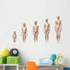 Female Human Body Scheme Wall Decal