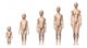 Female Human Body Scheme Wall Decal