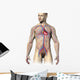Male Human Circulatory System Wall Decal