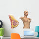 Cutaway Female Breast Full Torso Wall Decal