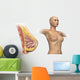 Cutaway Female Breast Full Torso Wall Decal