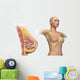 Cutaway Female Breast Full Torso Wall Decal