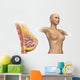 Cutaway Female Breast Full Torso Wall Decal