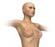 Woman Torso with Breast Wall Decal