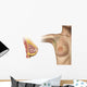 Cutaway Female Breast Wall Decal