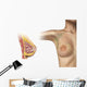 Cutaway Female Breast Wall Decal