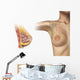 Cutaway Female Breast Wall Decal