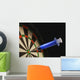 Dartboard with Medical Syringe Wall Decal