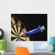 Dartboard with Medical Syringe Wall Decal