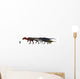 Carcharodontosauridae Size Chart Wall Decal