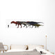 Carcharodontosauridae Size Chart Wall Decal