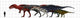 Carcharodontosauridae Size Chart Wall Decal