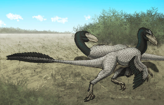 Two Dromaeosaurus Dinosaurs Sunbathing Wall Decal