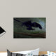 Microraptor Hunting Small Lizard Wall Decal