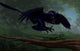 Microraptor Hunting Small Lizard Wall Decal