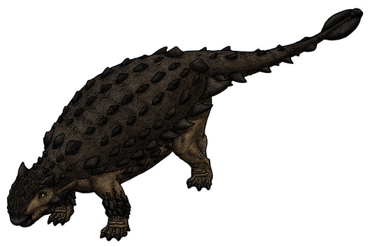 Saichania Mongolian Ankylosaurid from Wall Decal