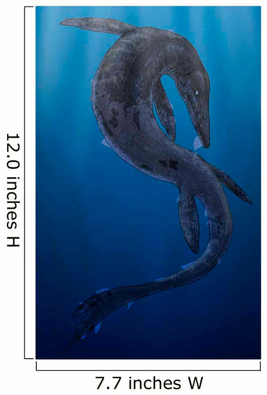 Tylosaurus Giant Marine Squamata Wall Decal