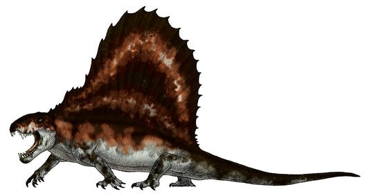 Dimetrodon Synapsid Was Apex Wall Decal