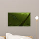 Pedra Fogo Formation Featuring Wall Decal