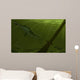 Pedra Fogo Formation Featuring Wall Decal