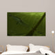 Pedra Fogo Formation Featuring Wall Decal