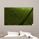 Pedra Fogo Formation Featuring Wall Decal
