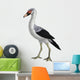 Presbyornis Extinct Genus Anseriform Wall Decal