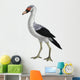 Presbyornis Extinct Genus Anseriform Wall Decal