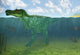 Baryonyx Swimming amongst Some Wall Decal