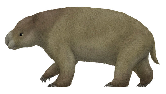 Diprotodon Largest Know Marsupial Wall Decal