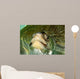 Olive Ridley Sea Turtle Wall Decal