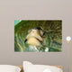 Olive Ridley Sea Turtle Wall Decal