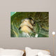 Olive Ridley Sea Turtle Wall Decal
