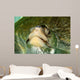 Olive Ridley Sea Turtle Wall Decal