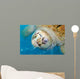 Rare Albino Loggerhead Turtle Wall Decal