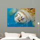 Rare Albino Loggerhead Turtle Wall Decal