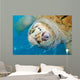 Rare Albino Loggerhead Turtle Wall Decal