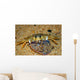 Crab Preying Dead Portuguese Wall Decal