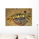 Crab Preying Dead Portuguese Wall Decal